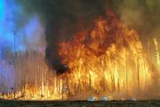 A forest fire burns during the Northwest Crown Fire Experiment, illustrating research into increasing wildfire risks.