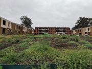 Demolition of public housing in Red Hill, Canberra highlights human rights concerns.