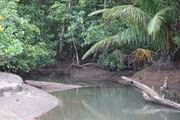 Landscape of Nuquí, Chocó, Colombia.
