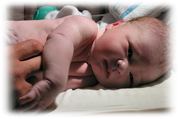 Hepatitis B Vaccine | Verified Journalism Press A hospital newborn represents the discussion around hepatitis B vaccinations and public health.
